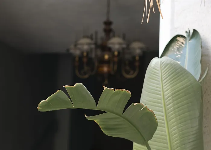 Bed and breakfast Mono Life