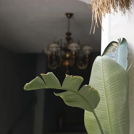 Bed & Breakfast Mono Life